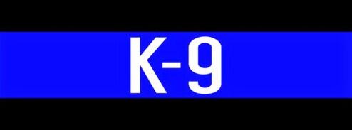 K-9 BLUE LINE STRIP.jpg